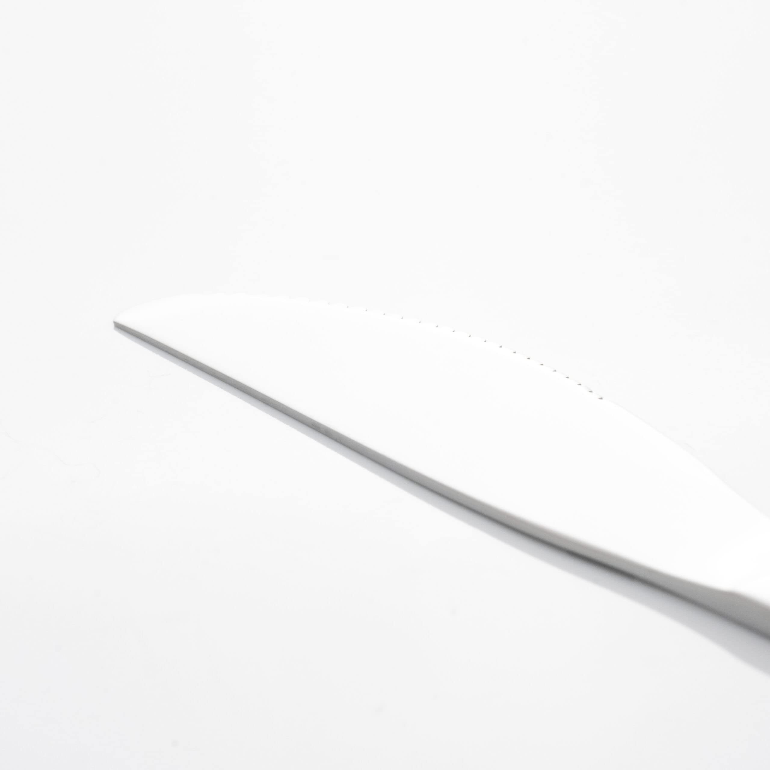 zanetti-boston-set-12-coltelli-da-tavola-in-acciaio-inox-18-c image 3